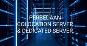 perbedaan colocation dan dedicated server